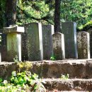 정방사소장 석조여래좌상 및 복장 유물 이미지