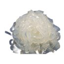 오성식품 이미지