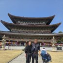 제주택시대절 후기 신혼여행처럼 오붓하게 다녀왔어요.