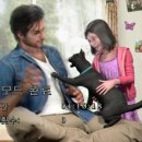 오션앤PC 이미지