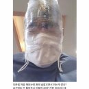 동원호프 이미지