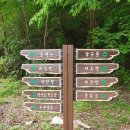 남도삼백리길(3코스) | 순천 남도삼백리길 9코스 천년불심길 선암사~송광사 1인 산행