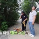 강아지 천국 이미지