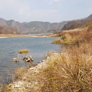 부남면사무소 이미지