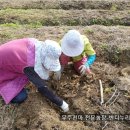 천마인력 이미지