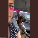 대신동물병원 이미지