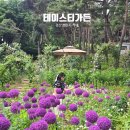 카페알리움 | 경산 브런치 카페 알리움 장미 정원 테이스티가든 아이랑 대형카페