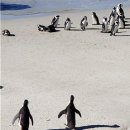 시창작 입문 이미지