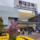 동대구역광장 이미지