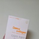 [고함량 콜라겐] 복숭아맛의 매력! 다모아 콜라겐 하루 한 포 찐 정착 후기