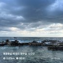 CU 강릉 연곡금강점 | 해파랑길 40코스 후기 🇰🇷 주문진~사천진 둘레길 / 카카오 대한민국 한바퀴 챌린지