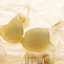 프리모션
