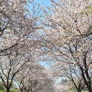 도미당약국 이미지