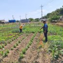 이창우농장 이미지