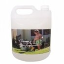 체리쉬퍼피 이미지