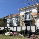 프렌즈 애견 이미지