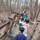 더불어숲생태학교 이미지