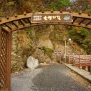 솔향기길1코스(당봉) | 태안 솔향기길 1코스 만대항 용난굴 트레킹 완벽 가이드