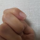 멘드의원