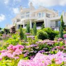 제주블랑 이미지