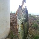 고지소류지 이미지