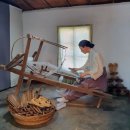 국화리팜랜드 이미지