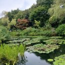 모네의 정원 이미지