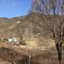 봉황약국 이미지