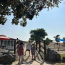 백우목장 이미지