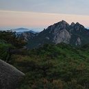 삼수갑산 Daum카페