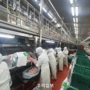 ㈜체리부로 금계지점 이미지