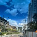 태백유도관 이미지