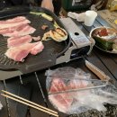 덕산국민여가캠핑장 티스토리
