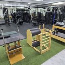 필라트니스 이미지