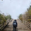 오대산 노인봉&amp;소금강계곡 단풍 이미지