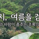 ﻿성지, 여름을 걷다 [햇살과 바람이 춤추는 초록의 계절] 이미지