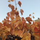 신곡약수터 이미지