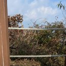 일공일오 이미지