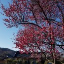 인흥마을 이미지