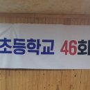 진월농장 네이버블로그