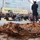 달사과마을 이미지