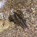 윤성수농장 이미지