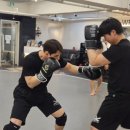 체육관 | 서울 레슬링 체육관 추천, 초보자가 실패하지 않는 선택 기준 (+ K레슬링 체육관 후기)