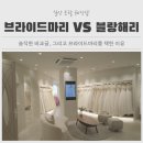 리더스프라자 앞 | 일산 웨딩토탈샵｜블랑해리 vs 브라이드마리, 직접 다녀온 솔직 비교 후기