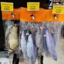 펫홈종합동물병원 이미지