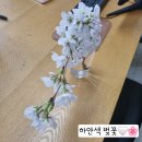 하나로마트 일죽농협본점 네이버블로그