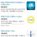 필리핀 보홀가기 1주전 대전 프리다이빙체험 플레이스디 후기
