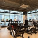 독산동 헬스장 최대규모! 미국느낌나는 빌드업피트니스독산점 PT 후기