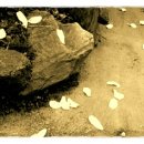 금강여인숙 이미지