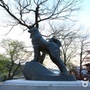 임실오수망루 이미지